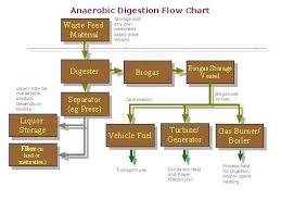 anaerobic digestion system
