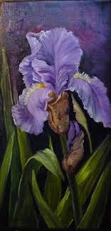 purple iris flower