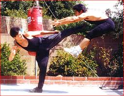 jet kune do