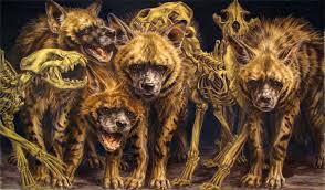 pictures of hyenas