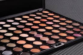 coastal scents warm palette