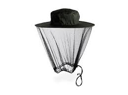 insect hat
