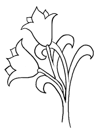 how to draw tulips