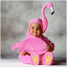 baby flamingo costume