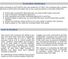 executive summary example