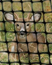 deer net