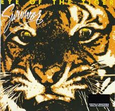 eye of a tiger