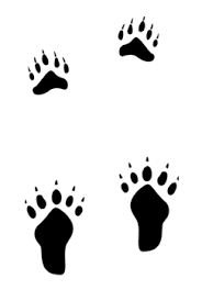 printable blank writing webs