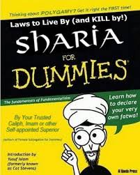 war for dummies