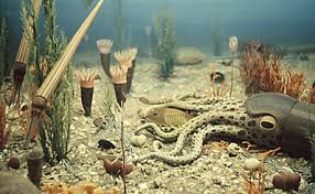 ordovician period
