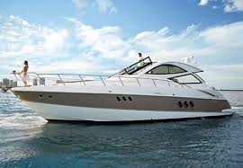 cruisers boats