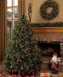 small christmas trees