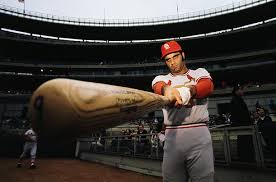 joe torre