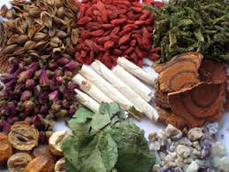 chinese herbal therapy