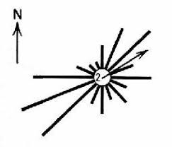wind rose diagram