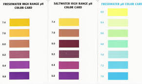 bromothymol blue solution