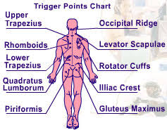 trigger point charts