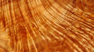 koa hawaiian