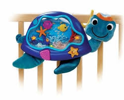 baby einstein turtle
