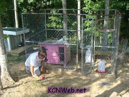 building a dog pen