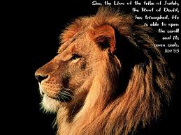 lion of judah