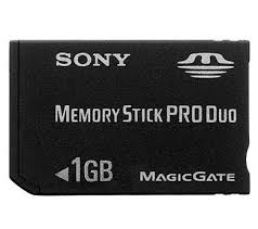 memory card 1 gig