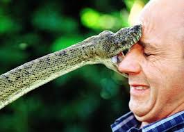 serpent handlers