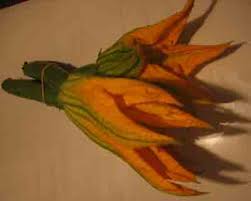 PLANTS AND FLOWERS  A - Z - Page 11 Courgette-flowers