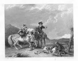 falconry history