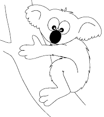 life cycle of a koala bear