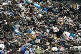 garbage pic