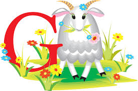 hmis laser printable label