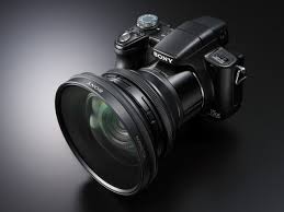 dsc 50