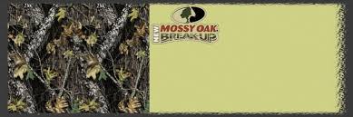 mossy oak new break up