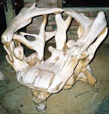 driftwood furniture