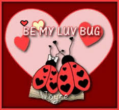 luv bugs