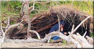 wilderness shelters