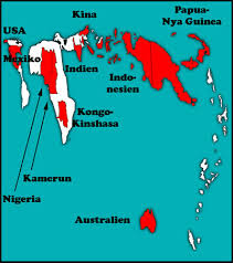 linguistic anthropology