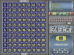 bingo software