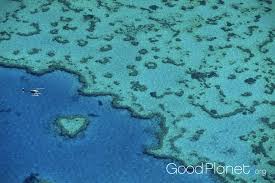 barriere de corail australie