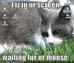 funny desktop