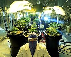 hydroponic equipment