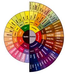 coffee flavor wheel