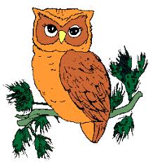 Clip Art Owl