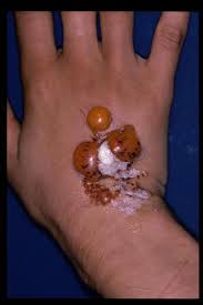 tatouages henne