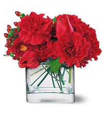 تهاني 2010الي جميع اعضاء المنتدي وان شاء الله تعجبكم Passionate-red-flowers
