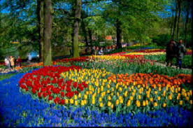 gardens in holland