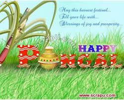 ~~HAPPY PONGAL TO ALL BTC FAMILY~~ Spngl12