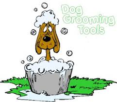 dog grooming tool