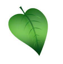 leaf design